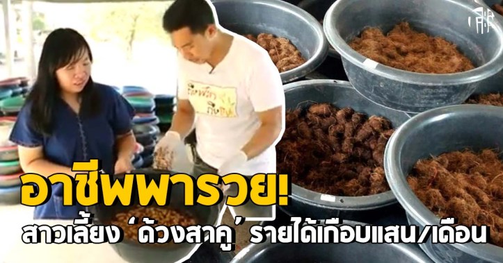 ด้วงสาคู